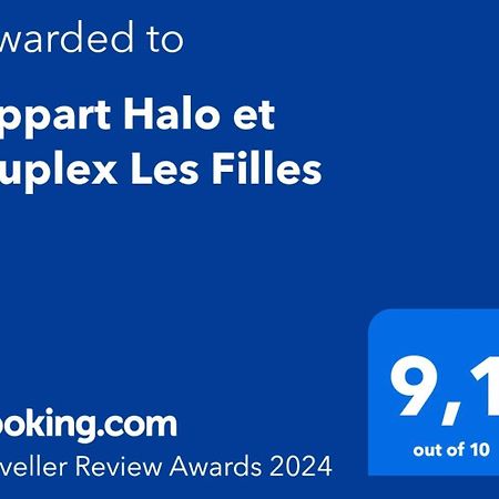 Appart Halo Et Duplex Les Filles Ντινάν Εξωτερικό φωτογραφία